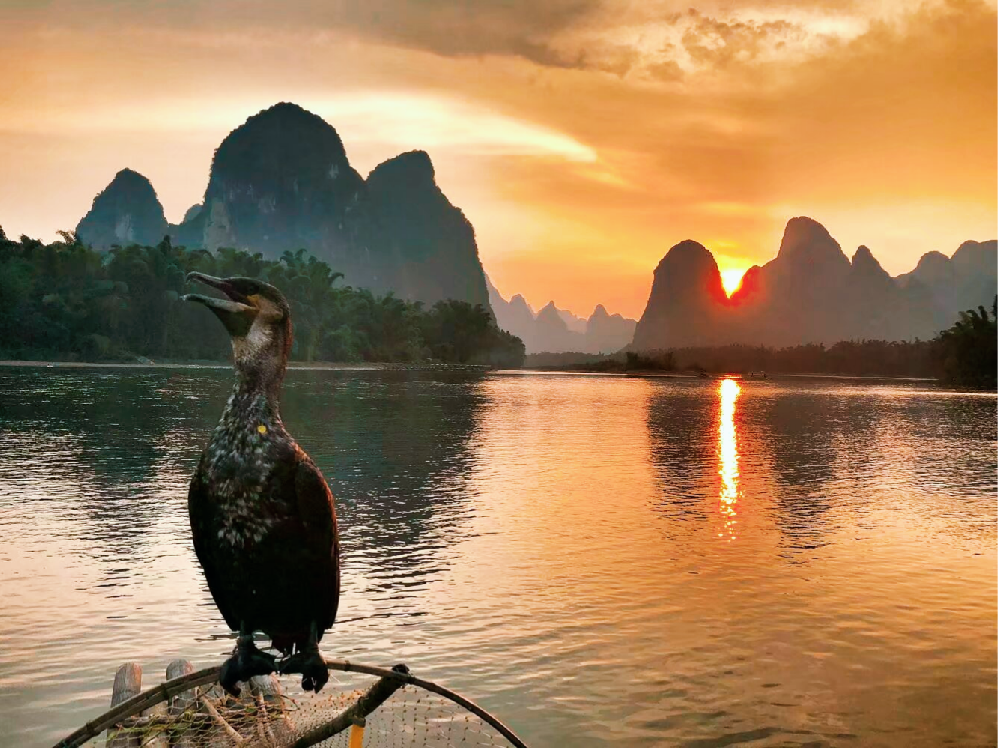 Roteiro 3: Presentes da Natureza (PN)